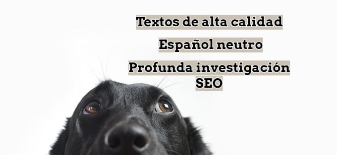 Bestseller - write an SEO optimized text in spanish