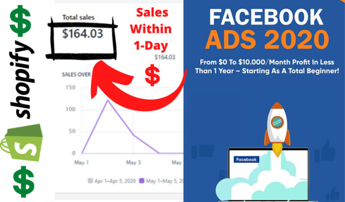 Gig Preview - Setup facebook ads campaign and choose the laser target audience