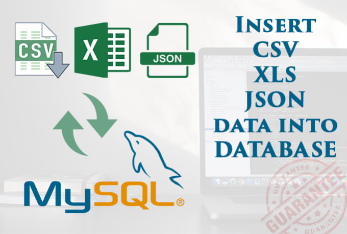 Gig Preview - Import excel, CSV, json into mysql database