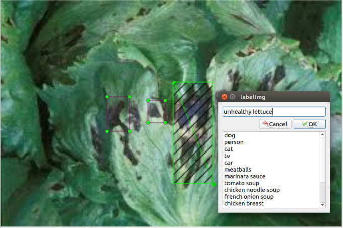 Gig Preview - Do manual image annotations, polygons, keypoints, bounding boxes