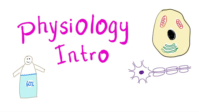 Gig Preview - Do anatomy physiology and neuroanatomy tasks