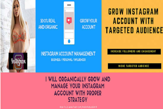 Gig Preview - Organically grow and manage your instagram account