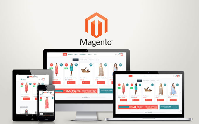 Gig Preview - Design and develop magento ecommerce online store website