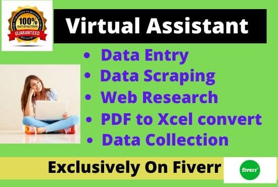 Gig Preview - Perfect data entry virtual assistant typing and web research