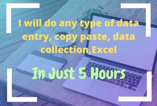 Gig Preview - Do any type of data entry, copy paste, data collection,excel