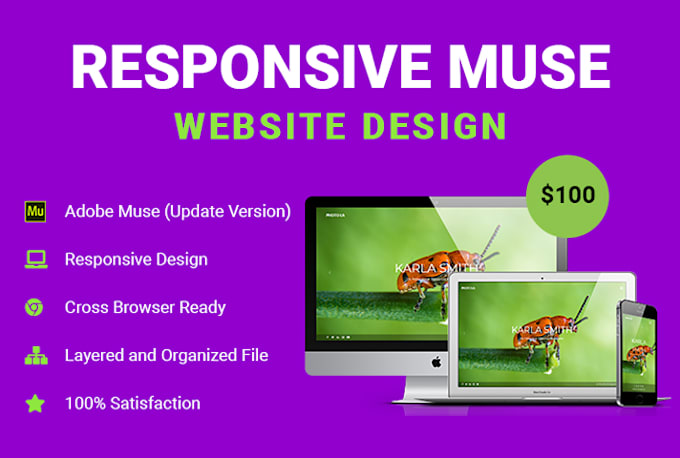 Gig Preview - Create responsive adobe muse website