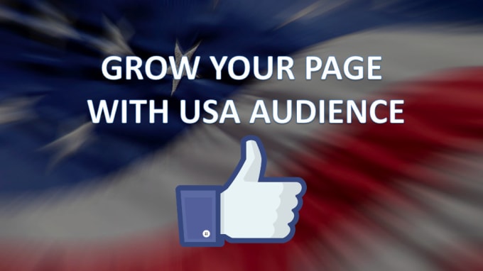 Gig Preview - Run facebook ad campaigns to grow your USA page likes