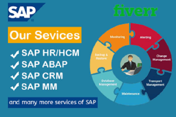 Gig Preview - Do sap abap development and support