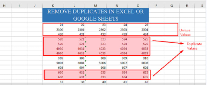 Gig Preview - Remove duplicates in excel or google sheets up to 2,000 rows