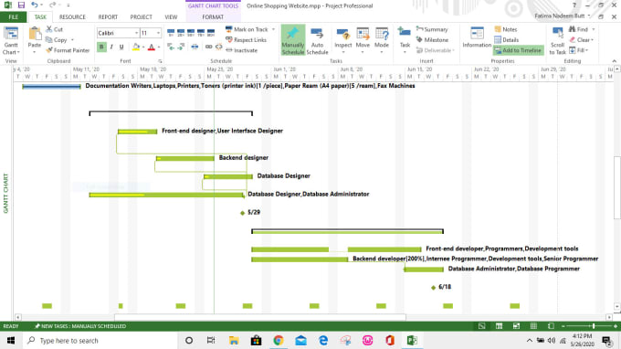 Gig Preview - Create project plan and gantt chart in ms project