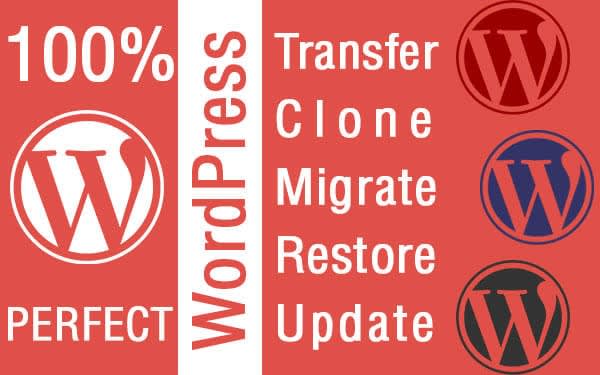 Gig Preview - Migrate wordpress website transfer, backup, clone, copy