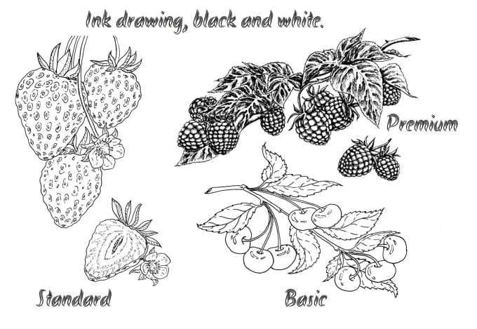 Gig Preview - Draw botany by hand in any style