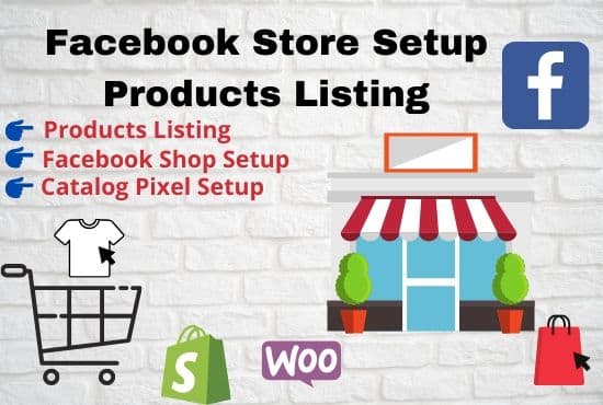 Gig Preview - Setup your facebook and instagram shop and conversions API pixel setup and fix