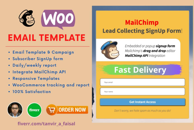 Gig Preview - Design editable HTML email template n run mailchimp campaign