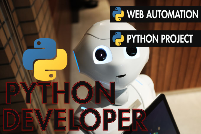 Gig Preview - Python script, code, automation tasks