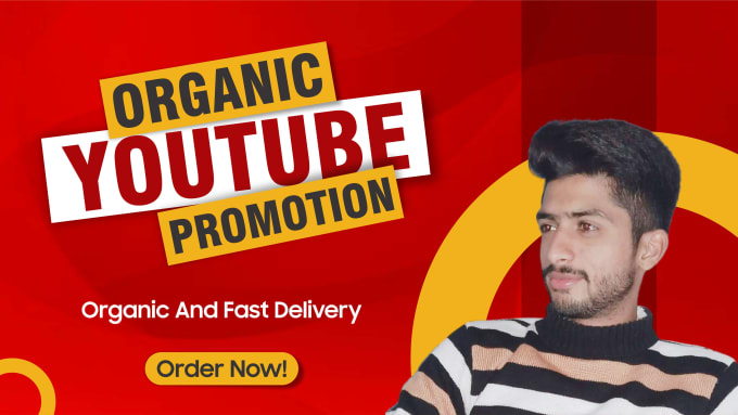 Gig Preview - Do organic youtube promotion for your videos and channel