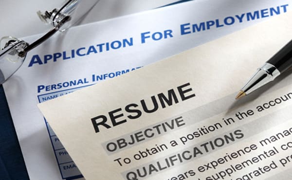 Gig Preview - Give you my personal 100 top tips on writing an EXCELLENT resume plus a free bonus