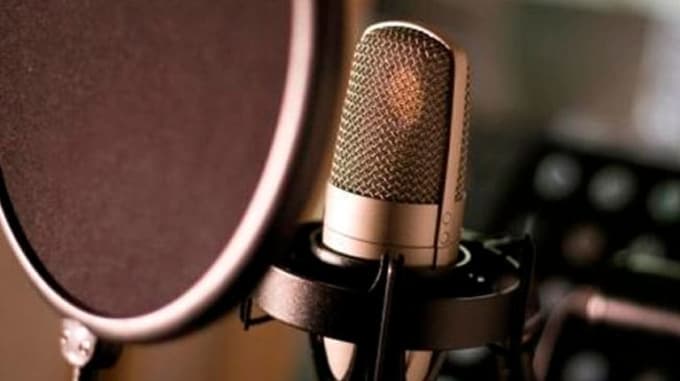 Gig Preview - Give voice over and identity to your brand