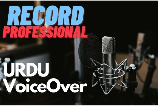 Gig Preview - Record professional urdu deep male voice over for youtube