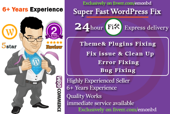 Gig Preview - Fix wordpress issues errors,bugs or problems in 24 hrs