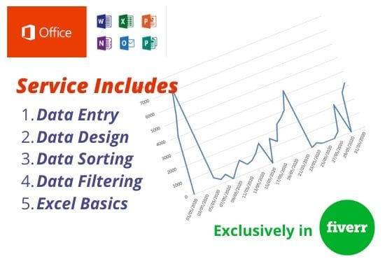 Gig Preview - Do data entry data sorting and data editing through excel