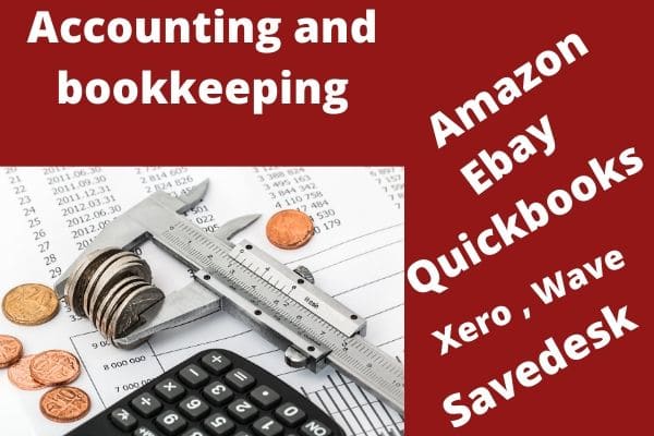 Gig Preview - Amazon, ecommerce accounting and bookkeeping with quickbooks online cleanup xero