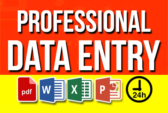 Gig Preview - Do professional data entry services