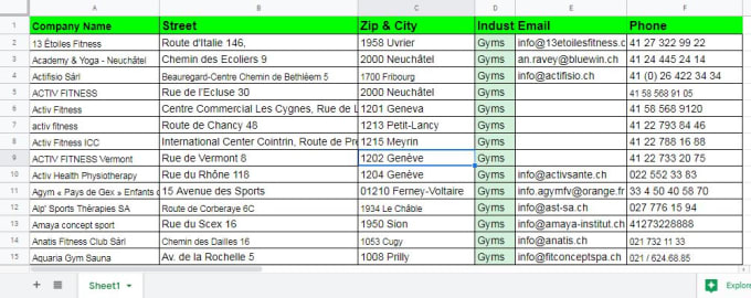 Gig Preview - Make contact list and prospect list building