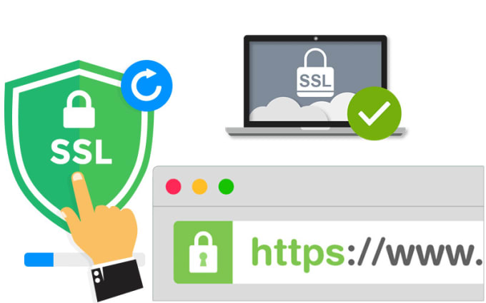 Gig Preview - Install SSL certificate on your server or hosting