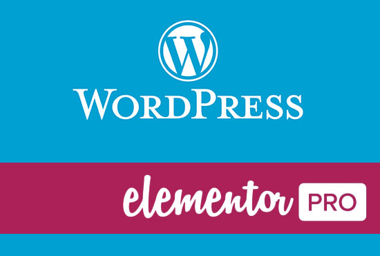 Gig Preview - Create unique wordpress site with elementor