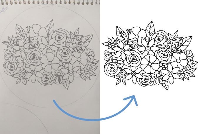 Gig Preview - Draw clean line art vector from sketch or photo for 24 hours