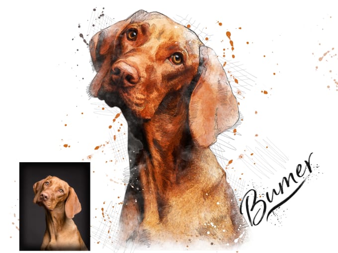 Gig Preview - Stylish watercolor realistic amazing portrait of your any pet