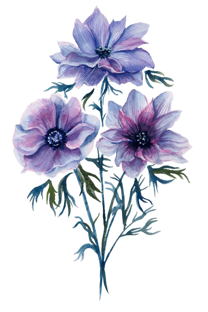 Gig Preview - Draw any  floral, animal or botanical art illustration