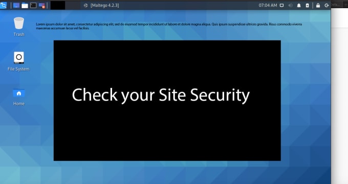 Gig Preview - Conduct penetration testing for your website