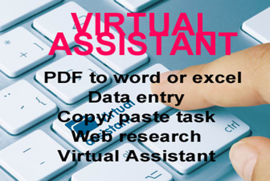 Gig Preview - Be your virtual assistant