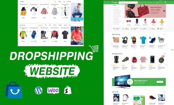 Gig Preview - Build ecommerce dropshipping website by wordpress, shopify