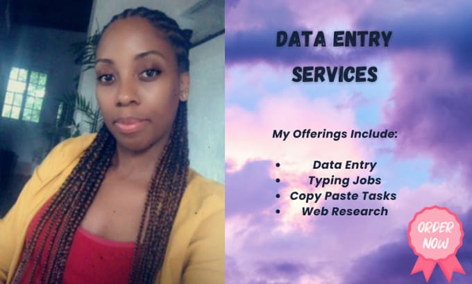 Gig Preview - Provide high quality data entry services