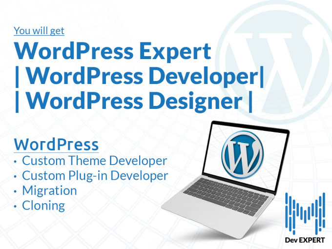 Gig Preview - Build a professional custom responsive wordpress website