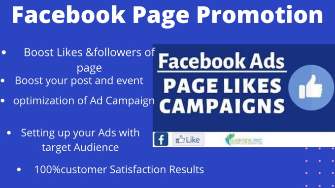 Gig Preview - Run a facebook ad campaign to grow page likes