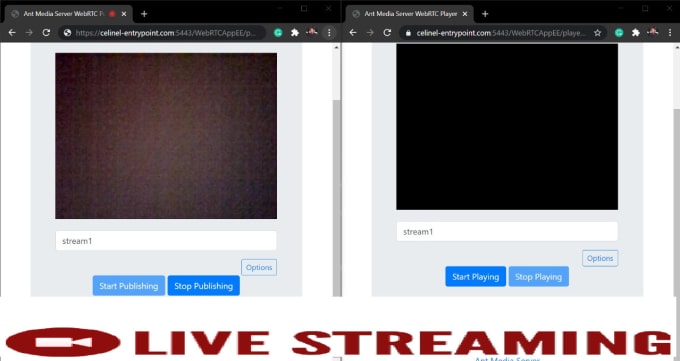 Gig Preview - Provide live streaming solution to any platform with webrtc