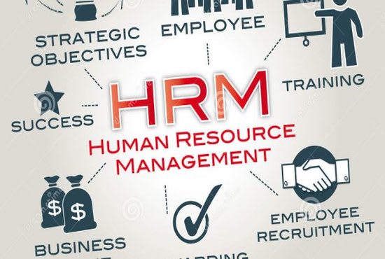 Gig Preview - Provide you lists of human resource leads of USA