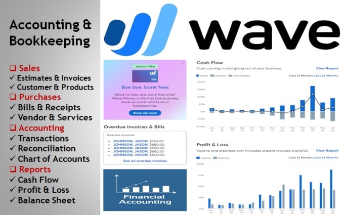 Gig Preview - Provide wave accounting bookkeeping services