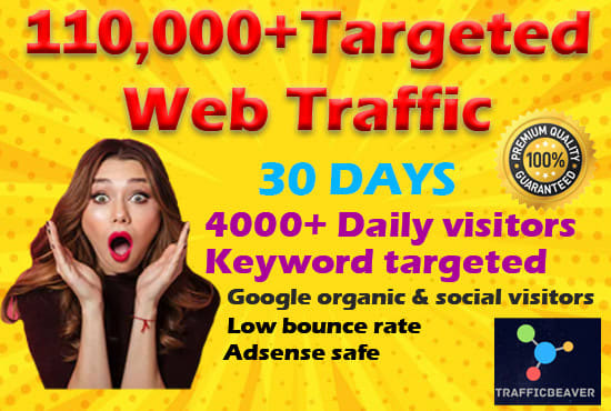 Gig Preview - Bring genuine real targeted organic web traffic SEO