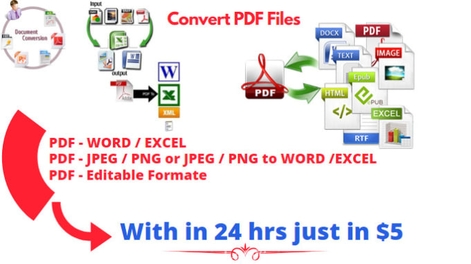 Gig Preview - Convert PDF files or create fillable PDF forms