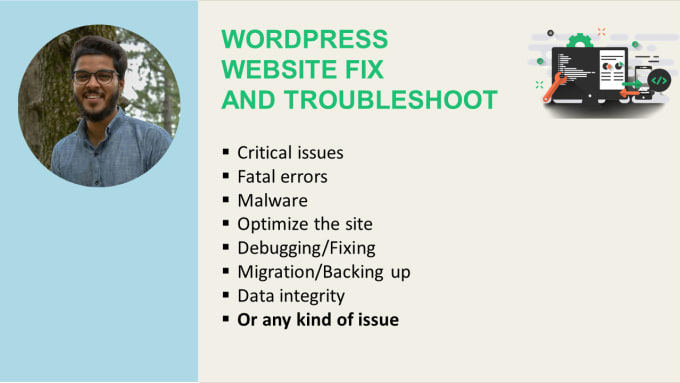 Gig Preview - Troubleshoot or fix any issue on wordpress site