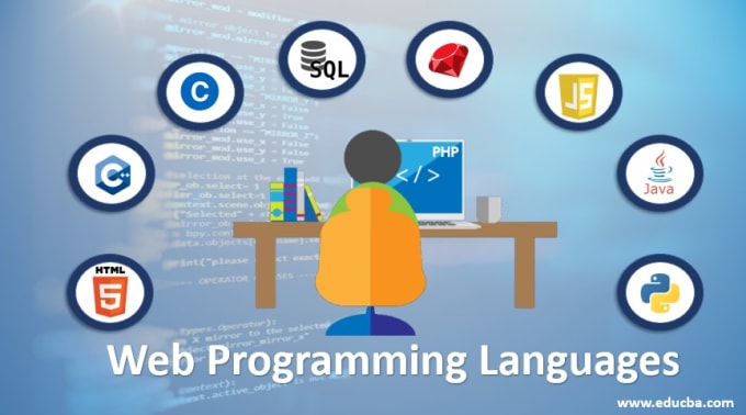 Gig Preview - Develop all types of web programming scripts