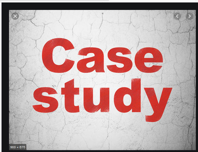 Gig Preview - Assist in writing a case study