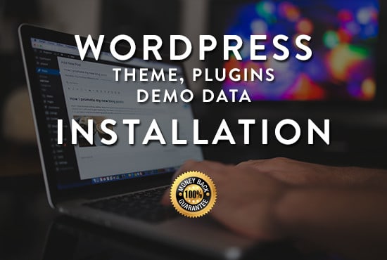 Gig Preview - Install your wordpress, theme, plugins and demodata