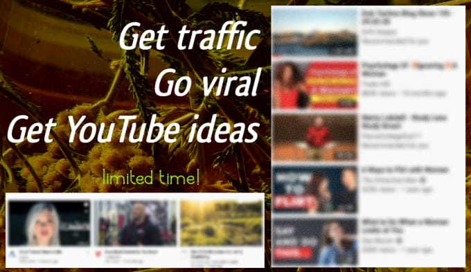 Gig Preview - Suggest youtube video ideas for traffic and viral effect