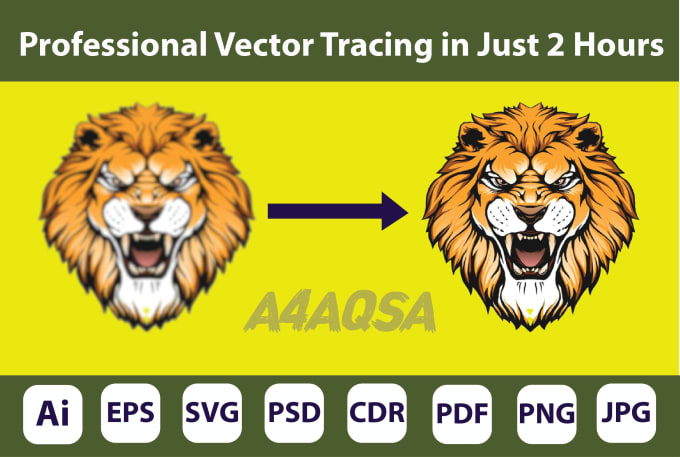 Gig Preview - Vector tracing, convert image to vector, vectorize your logo